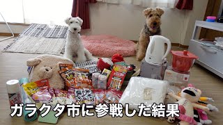 ［日常］久しぶりにハンズマンのガラクタ市に行って来たから買い物紹介するよ［犬のいる暮らし］