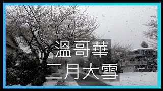 🍁大雪實景拍攝🍁 變身銀白世界雪都溫哥華 二月難得降下大雪