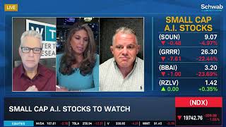 PLTR "All-Time Favorite Stock," Small Cap A.I. Names to Watch