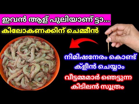 കത്തി,കത്രിക ഒന്നും വേണ്ട,എത്ര കിലോ ചെമ്മീനും മിനിറ്റുകൾക്കുള്ളിൽ ക്‌ളീനാക്കാം||NEW KITCHEN TIPS