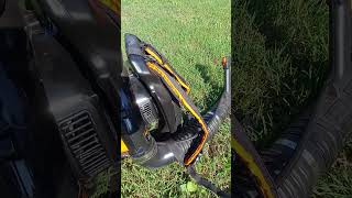 #lawncare #shorts #foryou #lawnmower #viral #perte #meme  #engine #twostroke #leafblower
