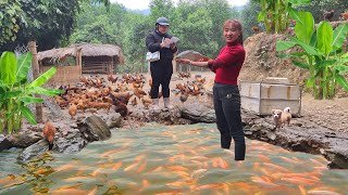 live alone in the forest, dig ponds, raise carp until harvest. Build barns, raise chickens, garden.