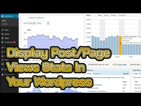 How To Display Post/Page Views Stats In Wordpress Front-end And Back-end
