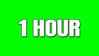 00FF00 Electric Green 1 hour long video