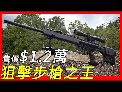 曾经的狙击步枪之王，售价12000美元，HK PSG1狙击步枪