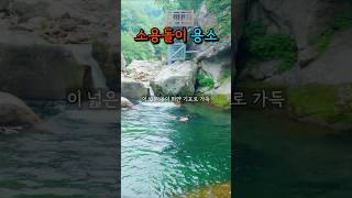 허락된 날만 들어갈 수 있는 소용돌이 계곡 #홍수달 #계곡 #계곡추천