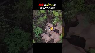 長旅のゴールは きっともうすぐ #ほっこりショート