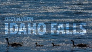 Destination Idaho Falls