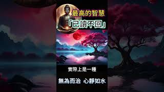 最高的智慧：「已讀不回」！無為而治，心靜如水 #開悟 #覺醒 #靈性成長