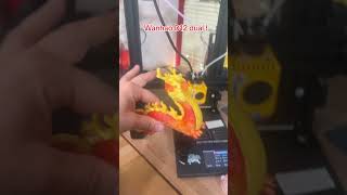 Wanhao d12 dual dragon dual color