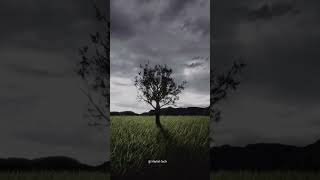 Blender environment animation #blender #animation #3dgraphics #shorts