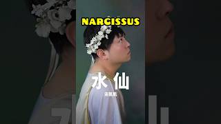 希臘神話 | 納西瑟斯的倒影 | 自戀 | 水仙花的故事 #narcissus #narcissist #narcissism #mythology #nemesis #shorts