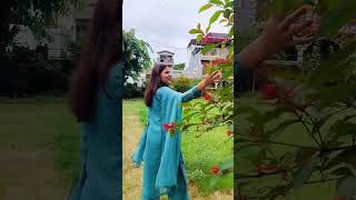 saiyara🫶#saiyaara #trendingvideo #virelsong
