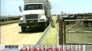 20120329-公視晚間新聞-英國學者：萊克多巴胺 對動物壞影響.mpg