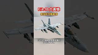 F/A-18大黃蜂 #美國 #戰機 #戰鬥機 #艦載機 #飛機 #航空母艦