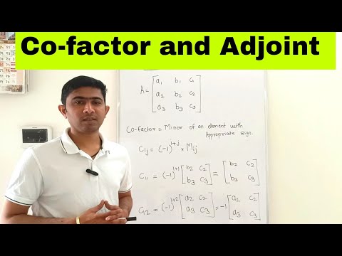 Diploma | Maths 1| Matrices | Lecture 9 - Cofactor and Adjoint #diploma #cofactor #adjoint #matrix