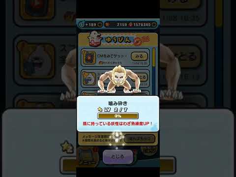 スコアタ報酬