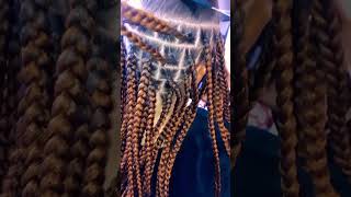#tresses #knotlessbraids #challenge #nature #perruque #bradsquad #poultry #explore