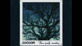 Cocoon - Hummingbird