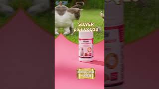 骨力勁 寵物最需要的營養補充 骨關節保健系列 #pets
