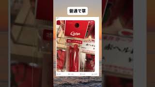 これ普通じゃない？ #shorts #おもしろ #ボールペン #文房具 #笑える