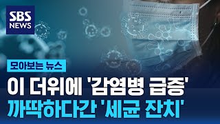 이 더위에 '감염병 급증'…까딱하다간 '세균 잔치' / SBS / 모아보는 뉴스