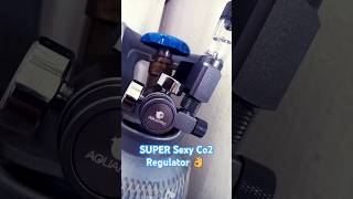 Is It Worth The Upgrade 🐟 AQUAPRO Co2 Regulator - HELL YES👌