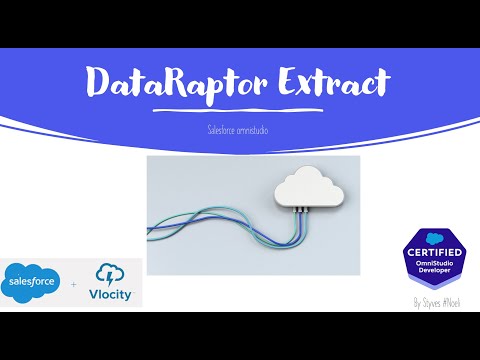 DataRaptor Extract | Omnistudio Developer