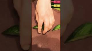 Cucumber decoration for food and sushi plating