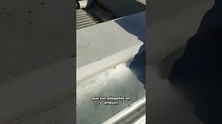 ✅ Goodbye to Leaks in Sheet Metal ROOFS: Sheet Metal Bibs and BORDERINGS
