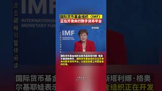 国际货币基金组织（IMF）正在开发央行数字货币平台