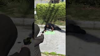 Gta V - 3 Fakta unik di gta 5#shorts #gtav