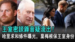王室密談錄音疑流出！哈里求和條件曝光，棄梅根保王室身份#查爾斯#哈里#梅根#威廉#凱特#戴安娜#卡米拉#夏洛特公主#路易#英國王室#娛樂星聞