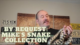 THE COLLECTION, part 2 of Mike's snake hobby journey.