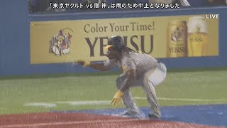 【ミエちゃん】 阪神タイガース ヨハン・ミエセス 雨天中止パフォーマンス 2023/9/22 ヤクルト vs. 阪神＠神宮 【ヘッドスライディング】
