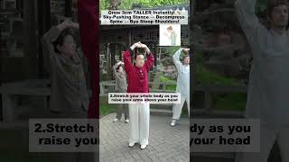 双手托天理三焦#health #healthy #healthylifestyle #healthyliving #锻炼 #健康 #养生 #道家 #八段锦 #exercise
