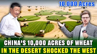 West Mocked China for Growing 10,000 Acres of Wheat in the Desert | Now Everyone Shut Up!