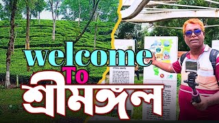 "শ্রীমঙ্গলের সাতগাঁও চা বাগান – সবুজের স্বপ্নিল যাত্রা | মোটরসাইকেল ভ্লগ 2025"