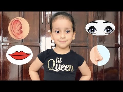 Learn Body Parts with Nandini