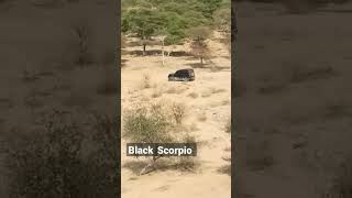 #trendingshorts #yutubeshorts #scorpio 😚😚😚😚😚 #ofounder