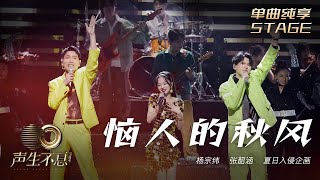【纯享】杨宗纬/张韶涵/夏日入侵企画《恼人的秋风》| 八零年代经典BGM 全新舞曲嗨翻全场 | 声生不息宝岛季 EP2 Infinity and Beyond 2023 | MangoTV