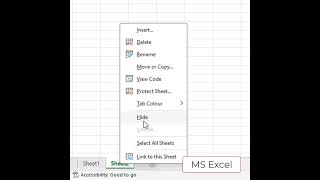 MS Excel Hide and Unhide Sheet