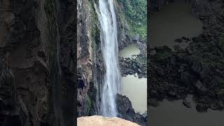 Jog Falls-Karnataka #jogfalls #waterfall #malenadu #nature #shimoga #karnataka #incrediblekarnataka