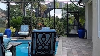 🔥 Lanai or Pool Cage lightning Design (Ideas and Tips) 🔥