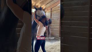 Did you know this about the poll? #equinetherapy #horsecare
