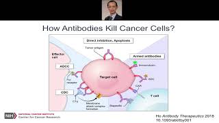 Antibody Binding Sites as Therapeutics: From scFv to VHH and VNAR