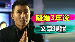 37歲文章「毀容式」近照曝光，離開馬伊琍2年後，他已經判若兩人…… 【娱与舆】
