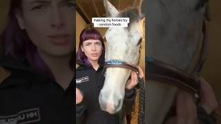 Snack time! #horse #horses #horseriding #horsegirl #riding #equestrian #pony #horsey #horsefan