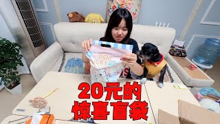 妈妈花20买惊喜盲袋，艾米想拆点好货拿跳蚤市场卖，结果很尴尬