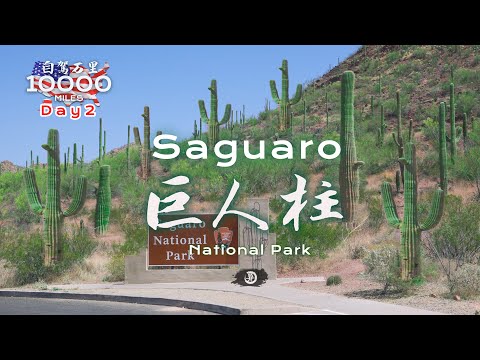 环美自驾一万英里第2天—自驾亚利桑那州巨人柱国家公园Saguaro National Park Arizona Day 2 Road trip in USA 4K